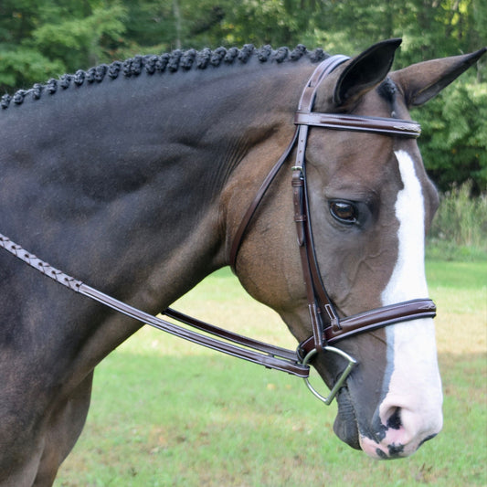 KL Select Red Barn Spirit Bridle