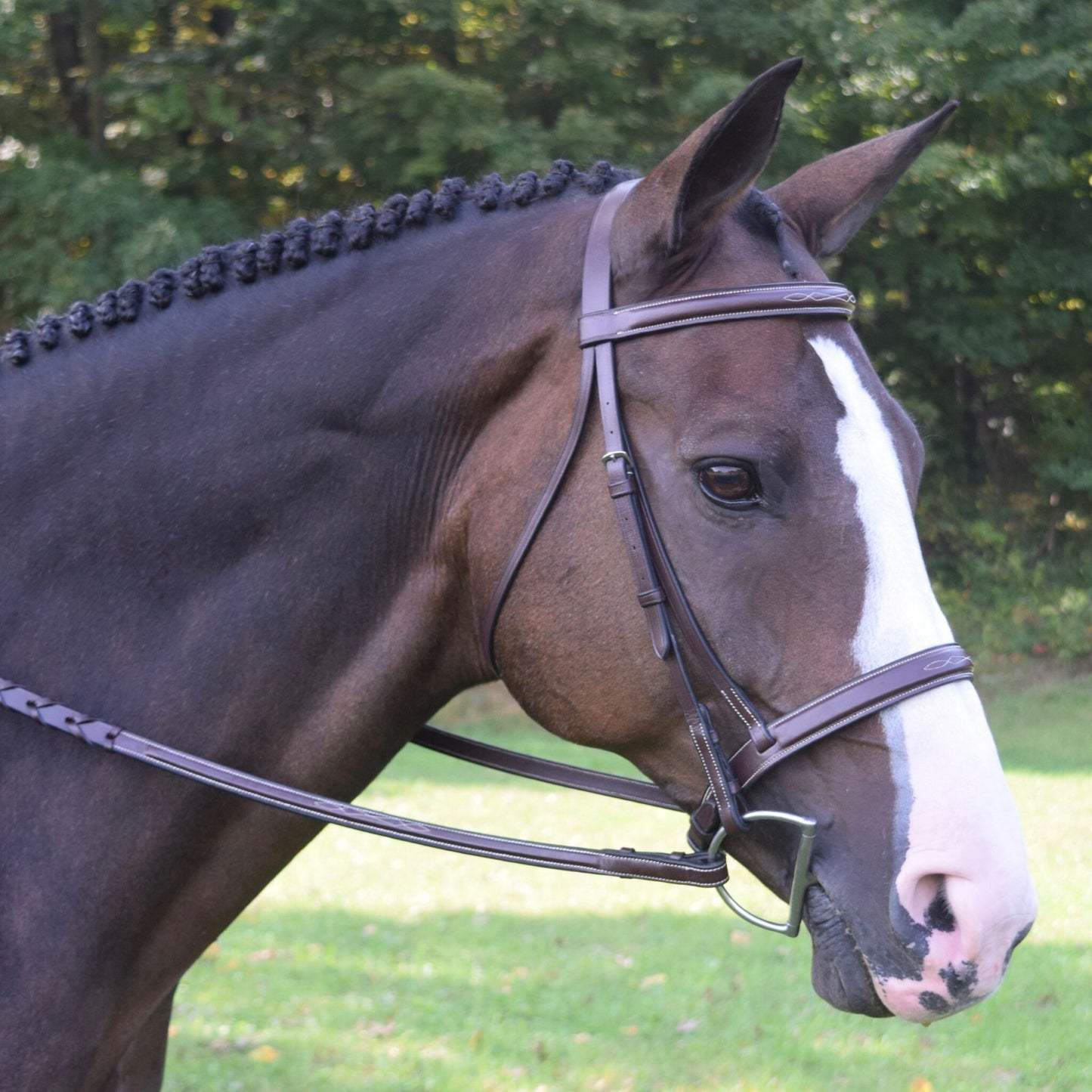 KL Select Black Oak Spruce Bridle