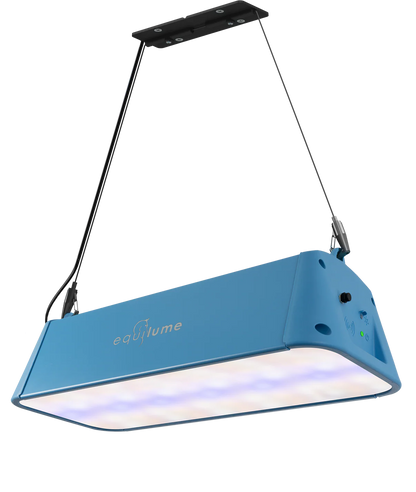 Equilume Stable Light System - Riders Choice Supply Co