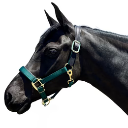 Premium Nylon Breakaway Halter with Padded Crown/Nose - Riders Choice Supply Co
