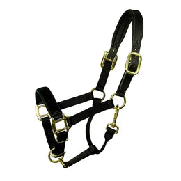 Premium Nylon Breakaway Halter with Padded Crown/Nose - Riders Choice Supply Co