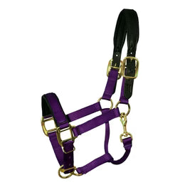 Premium Nylon Breakaway Halter with Padded Crown/Nose - Riders Choice Supply Co
