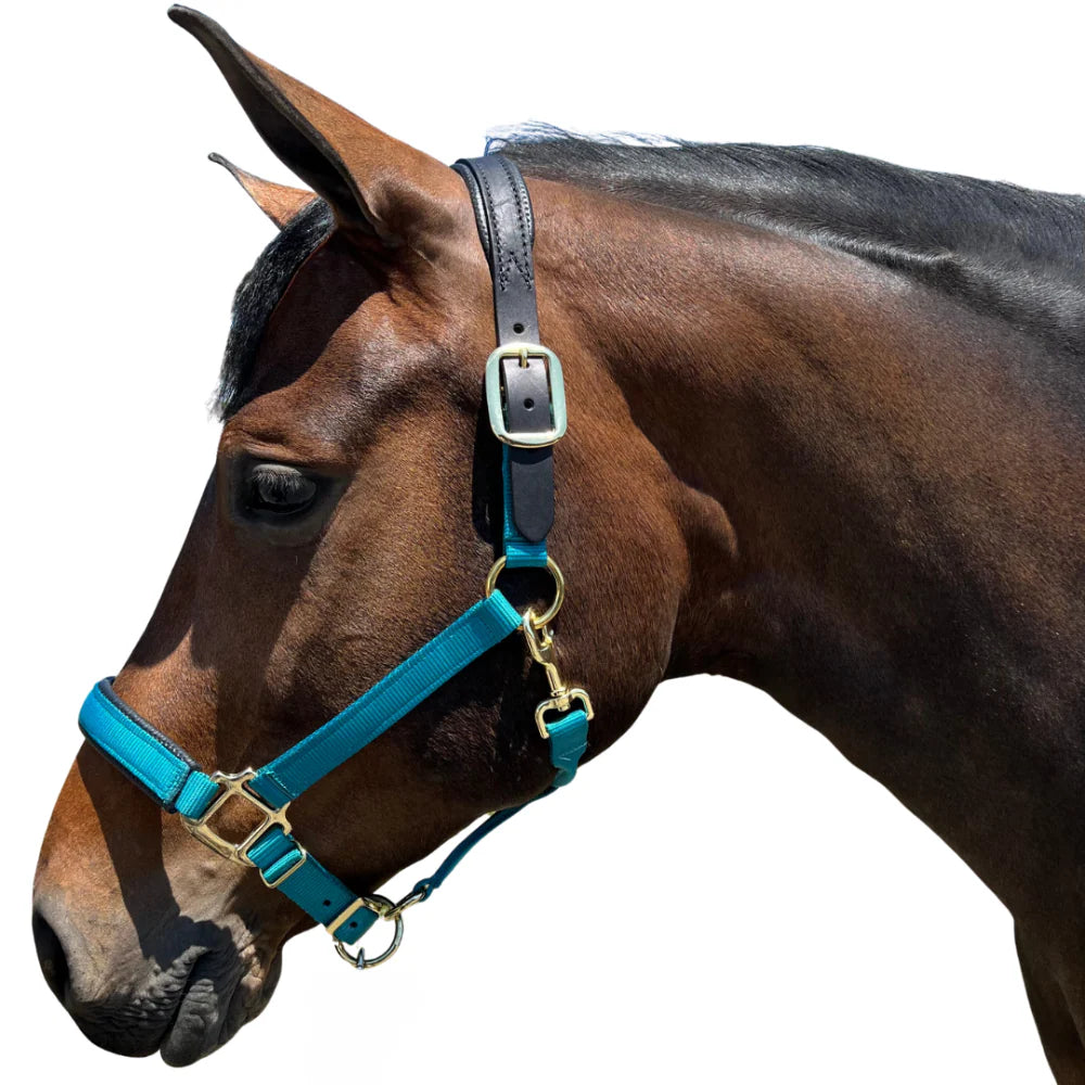 Premium Nylon Breakaway Halter with Padded Crown/Nose - Riders Choice Supply Co