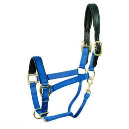 Premium Nylon Breakaway Halter with Padded Crown/Nose - Riders Choice Supply Co