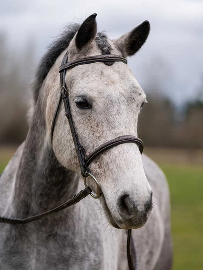 Thornberry Round Raised Hunter Bridle - Riders Choice Supply Co