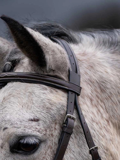 Thornberry Round Raised Hunter Bridle - Riders Choice Supply Co