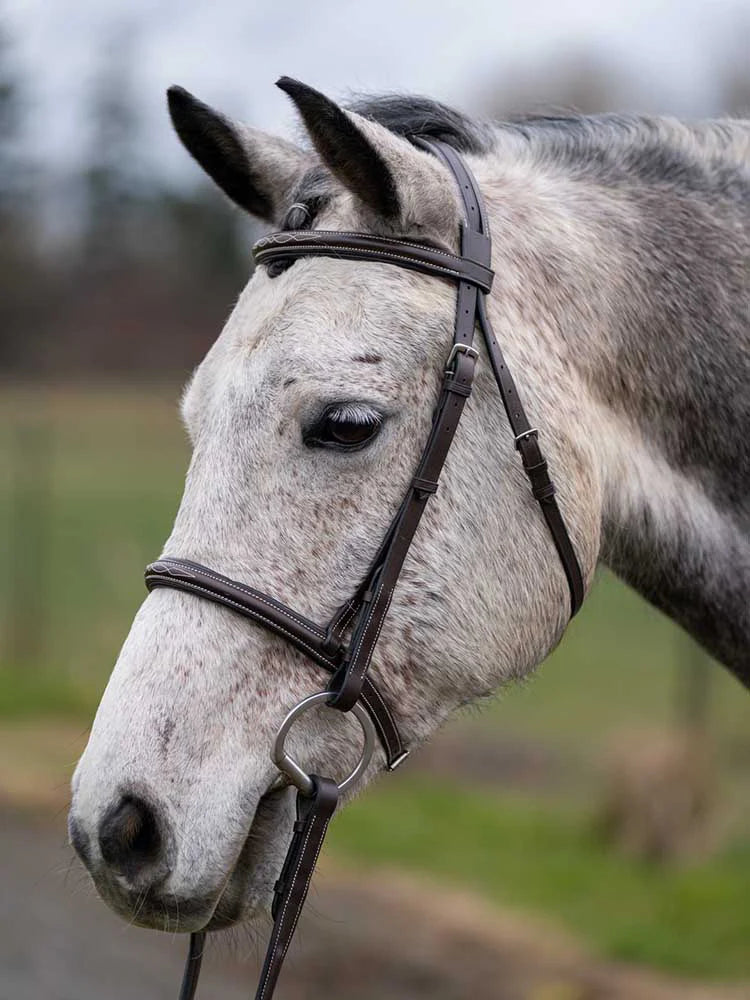 Thornberry Round Raised Hunter Bridle - Riders Choice Supply Co
