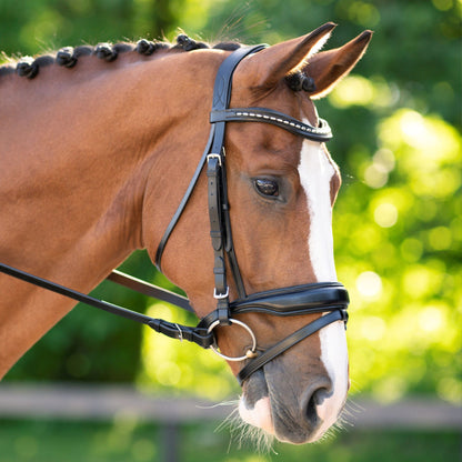 KL Select Red Barn Topline Bridle