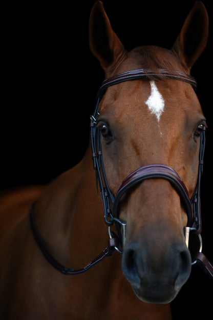 KL Select Tuscany Bridle