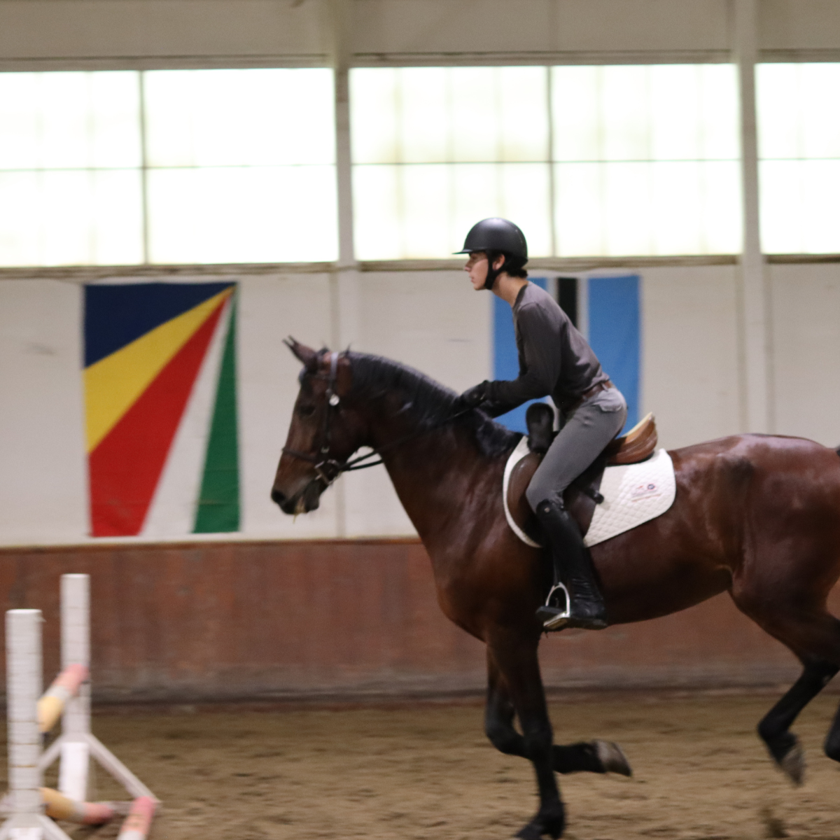 Sally Batton Pommel Blocker - Riders Choice Supply Co