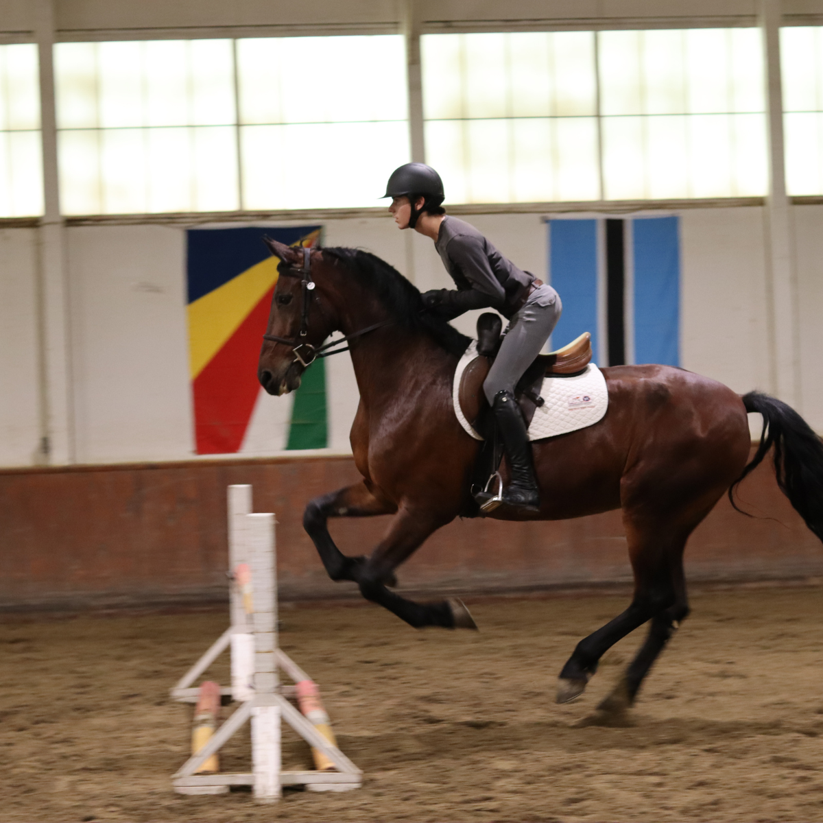 Sally Batton Pommel Blocker - Riders Choice Supply Co