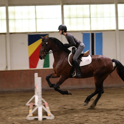 Sally Batton Pommel Blocker - Riders Choice Supply Co