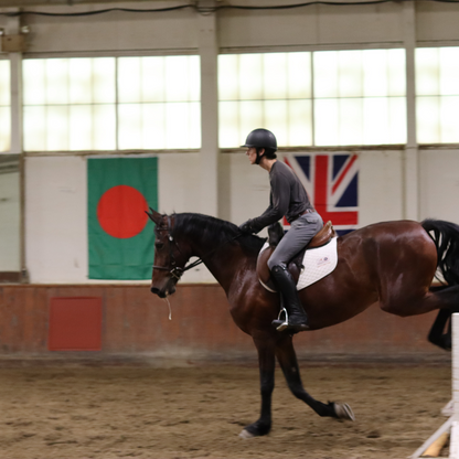 Sally Batton Pommel Blocker - Riders Choice Supply Co