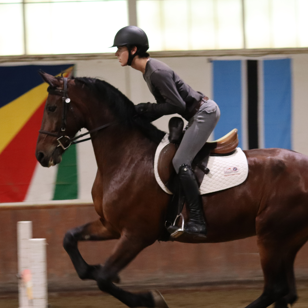Sally Batton Pommel Blocker - Riders Choice Supply Co