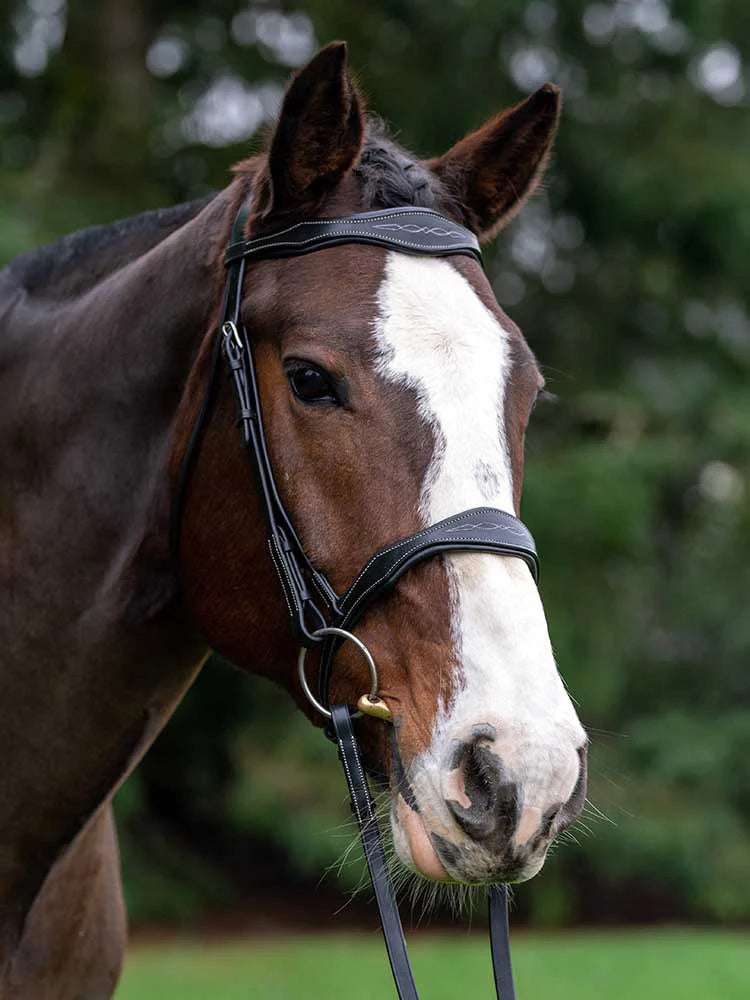 Vogue Scalloped Bridle - Riders Choice Supply Co