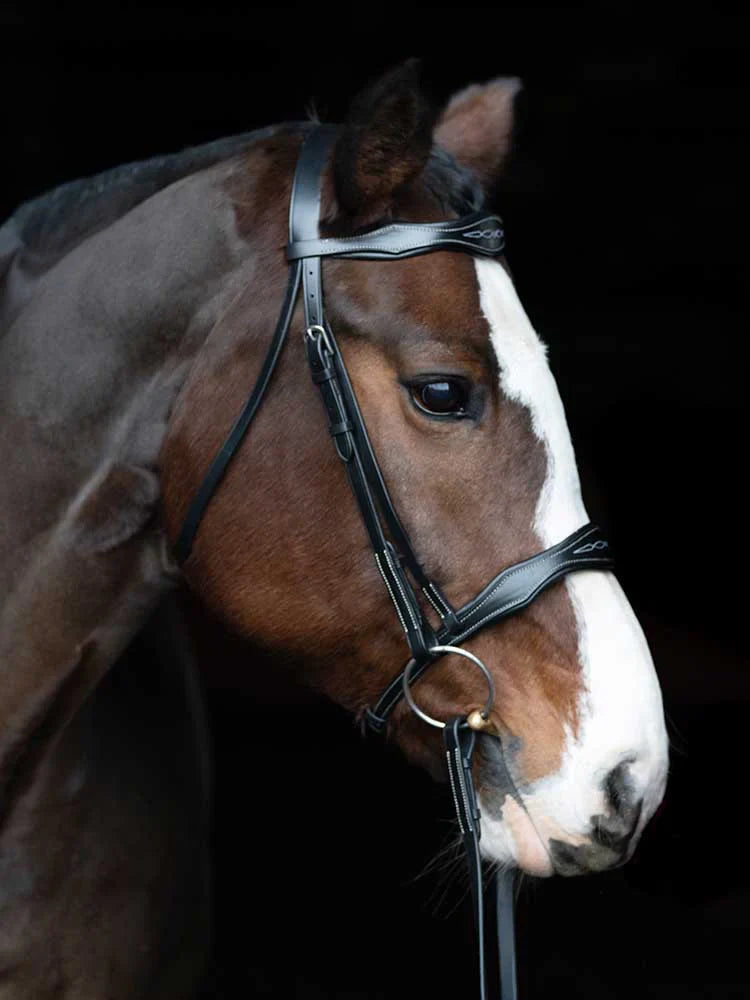 Vogue Scalloped Bridle - Riders Choice Supply Co