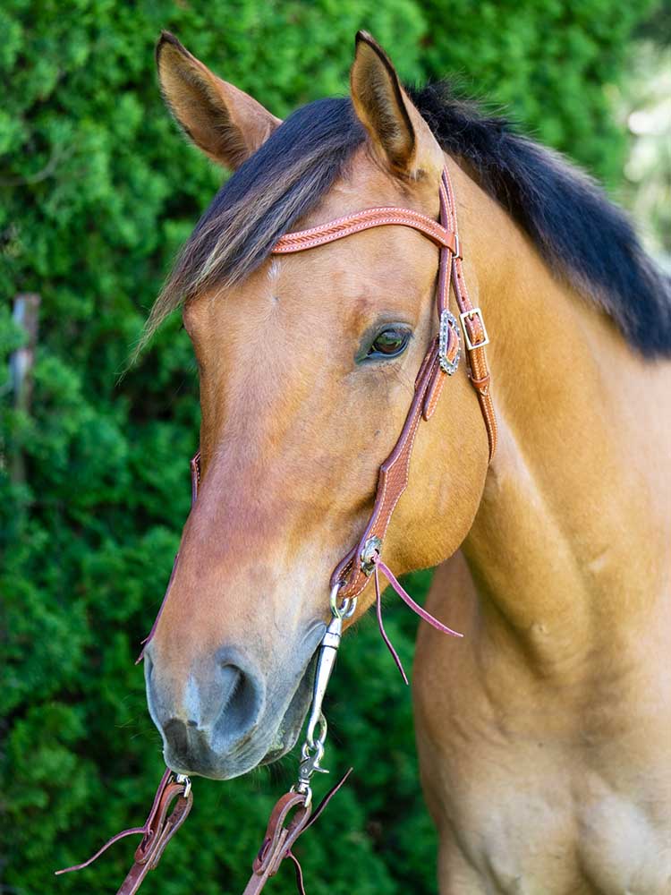 Sedona Headstall