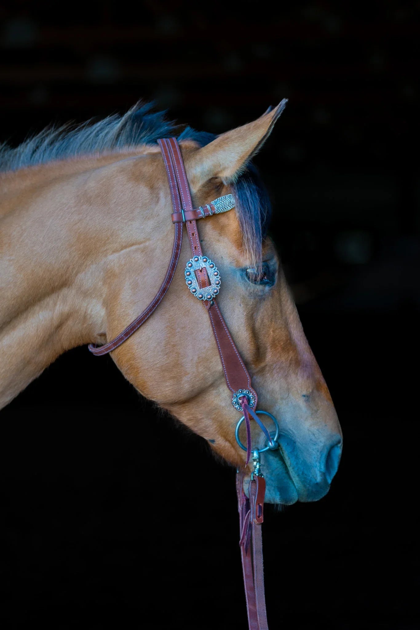 Phoenix Headstall