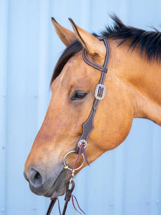 Toledo Headstall