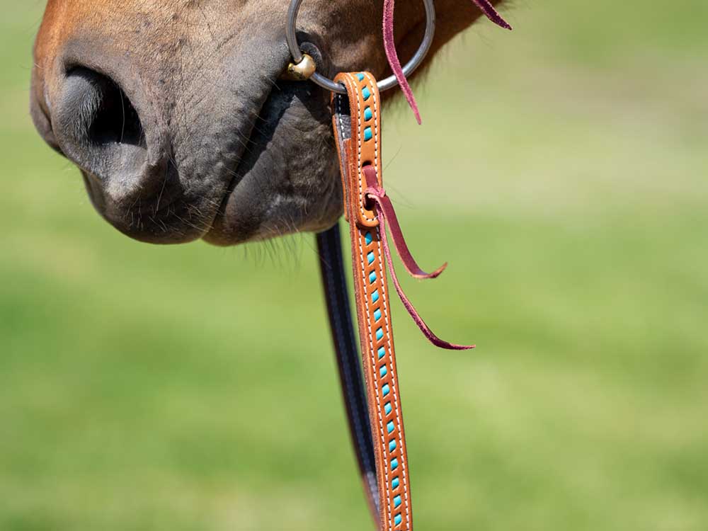 Western Split Reins with Turquoise Buckstitching - Riders Choice Supply Co