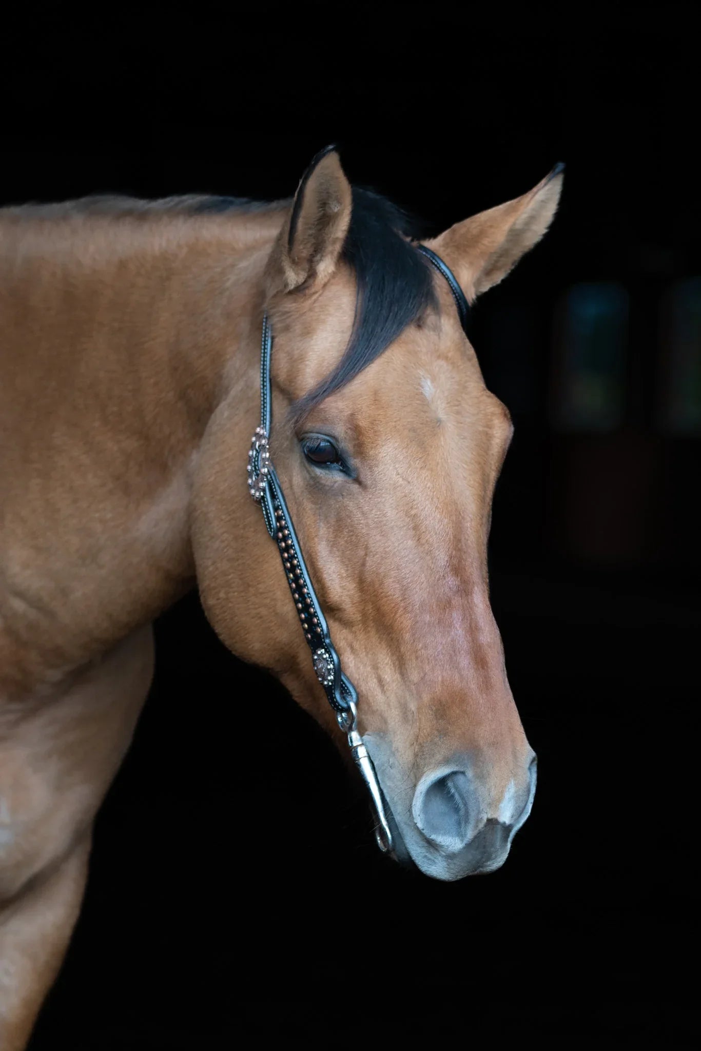 Ruston Headstall - Riders Choice Supply Co
