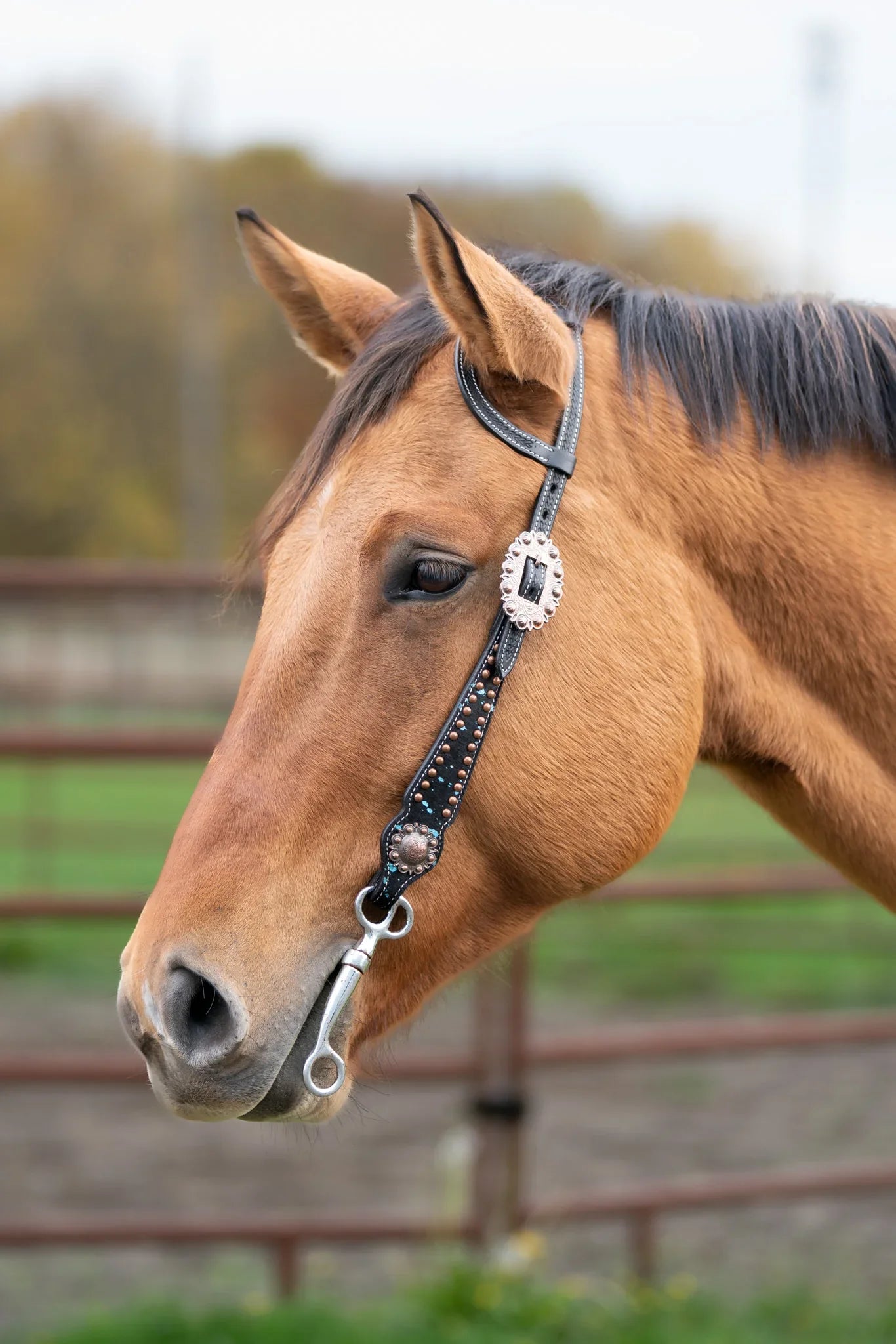 Ruston Headstall - Riders Choice Supply Co