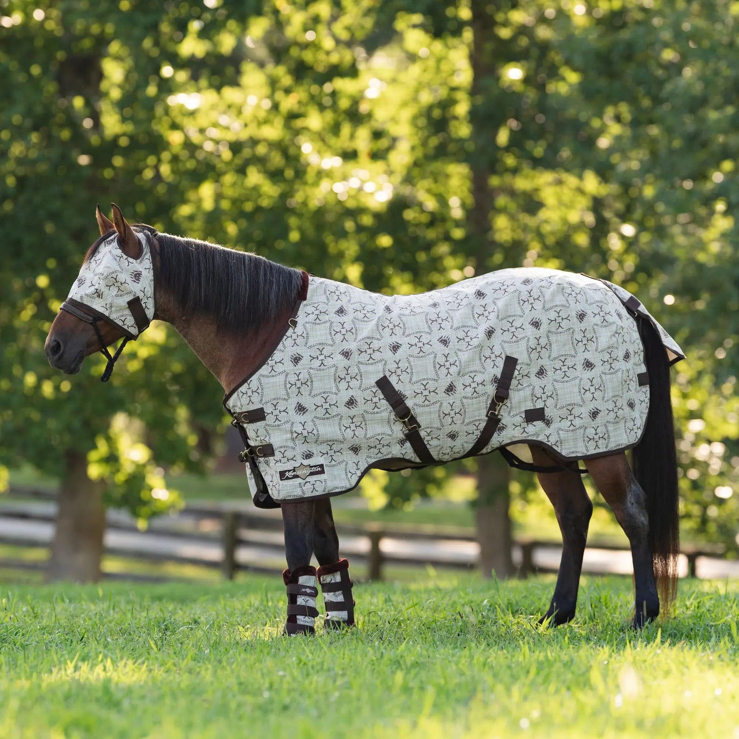 Yellowstone Equine Protective Fly Sheet - 73% UV Blocking + Pest Protection - Riders Choice Supply Co