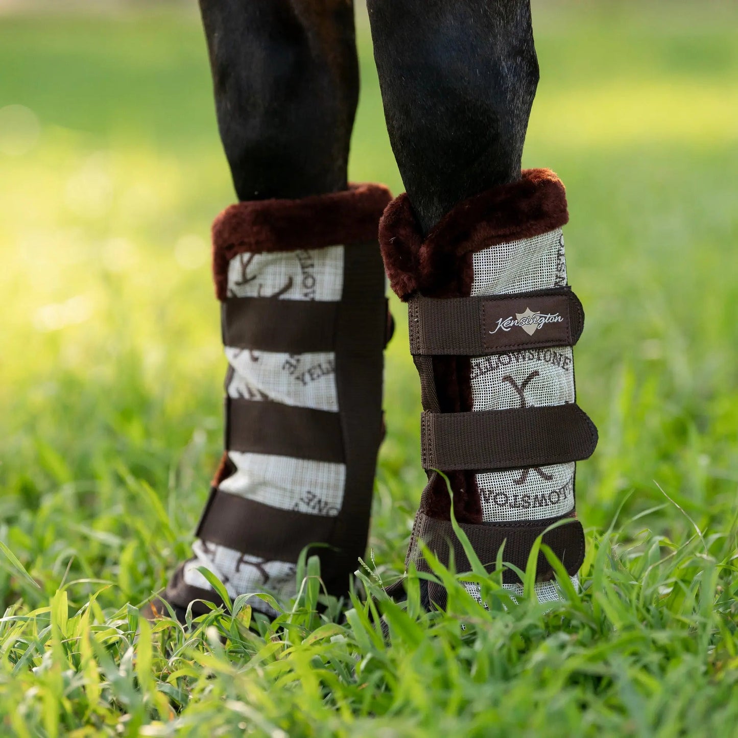 Horse Fly Boots with Fleece Trim - Set of 2 - 73% UV + Fly Protection - Riders Choice Supply Co