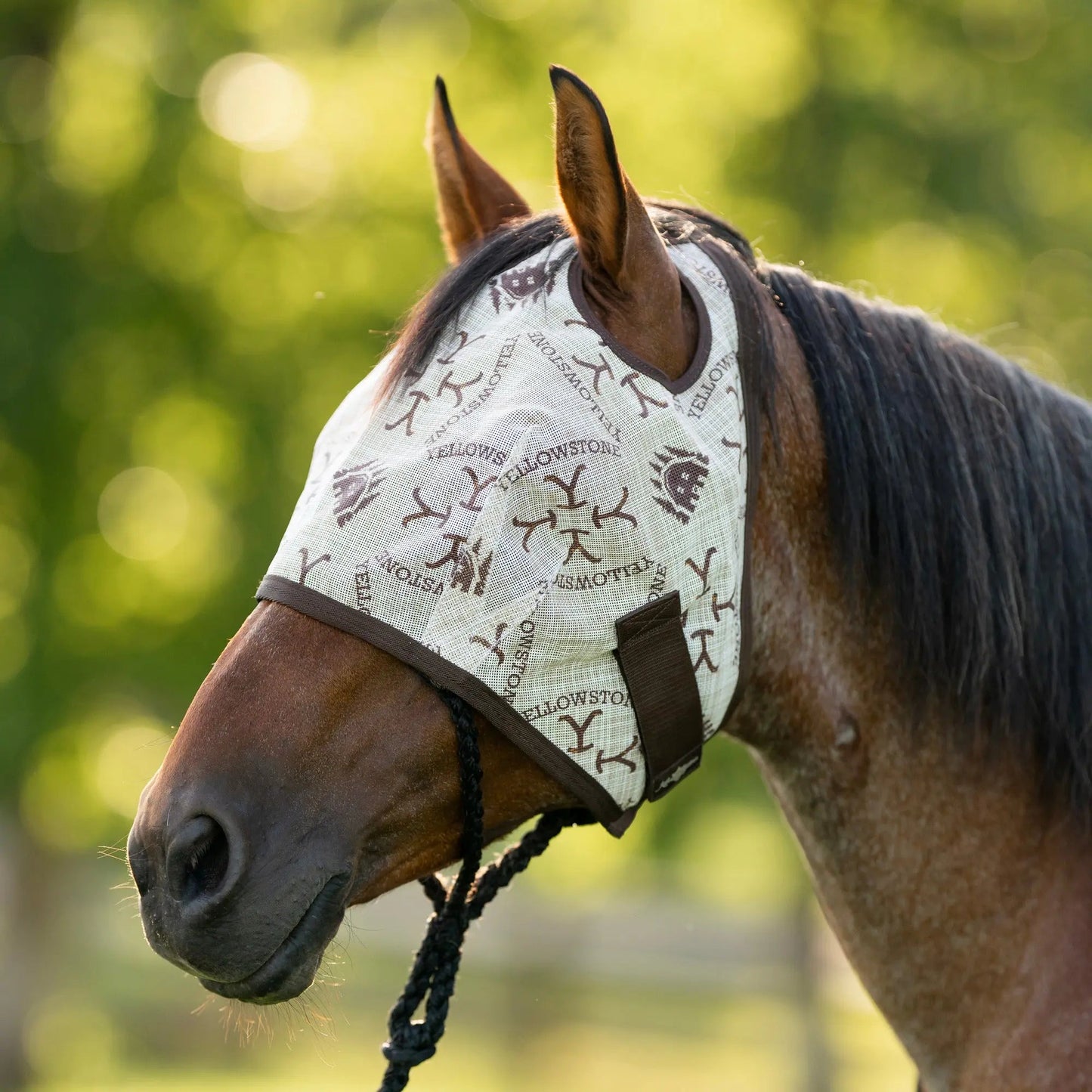 Fly Mask with 73% UV Protection - Riders Choice Supply Co