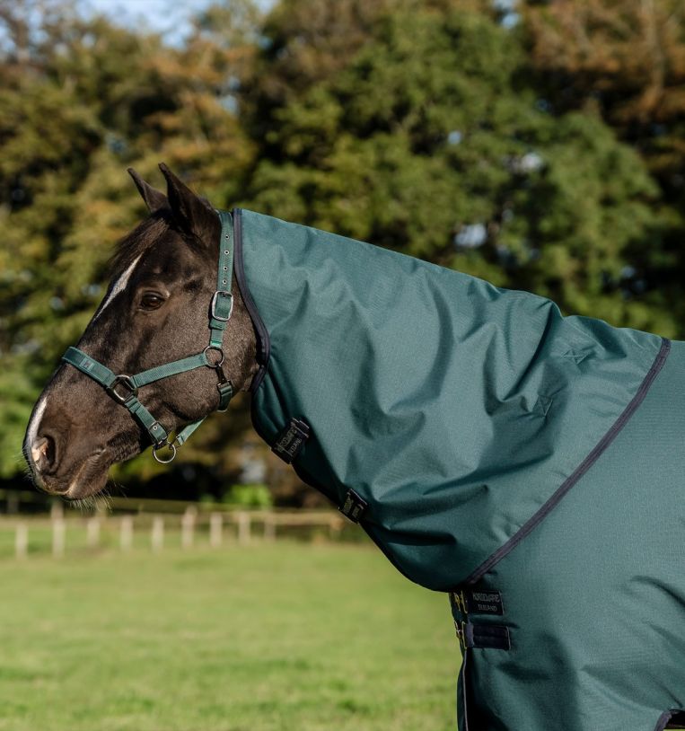 Horseware Amigo Ripstop 900D Plus Turnout 100g - Witney Navy - 75 - Riders Choice Supply Co