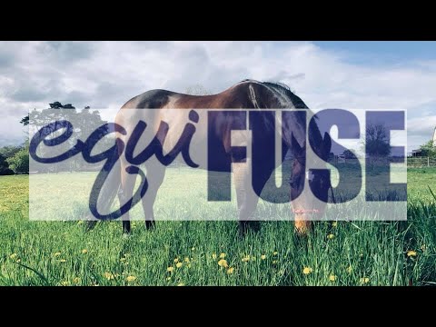 EQUIFUSE EquiFUSE CFS Horse Shampoo Concentrate + Paste, 1 lb - Riders Choice Supply Co