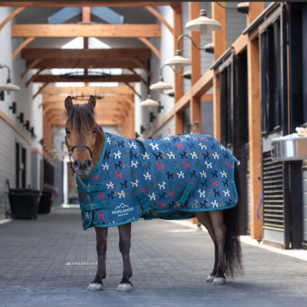 Shires Mini Highlander Blanket- Balloon Dog 200g