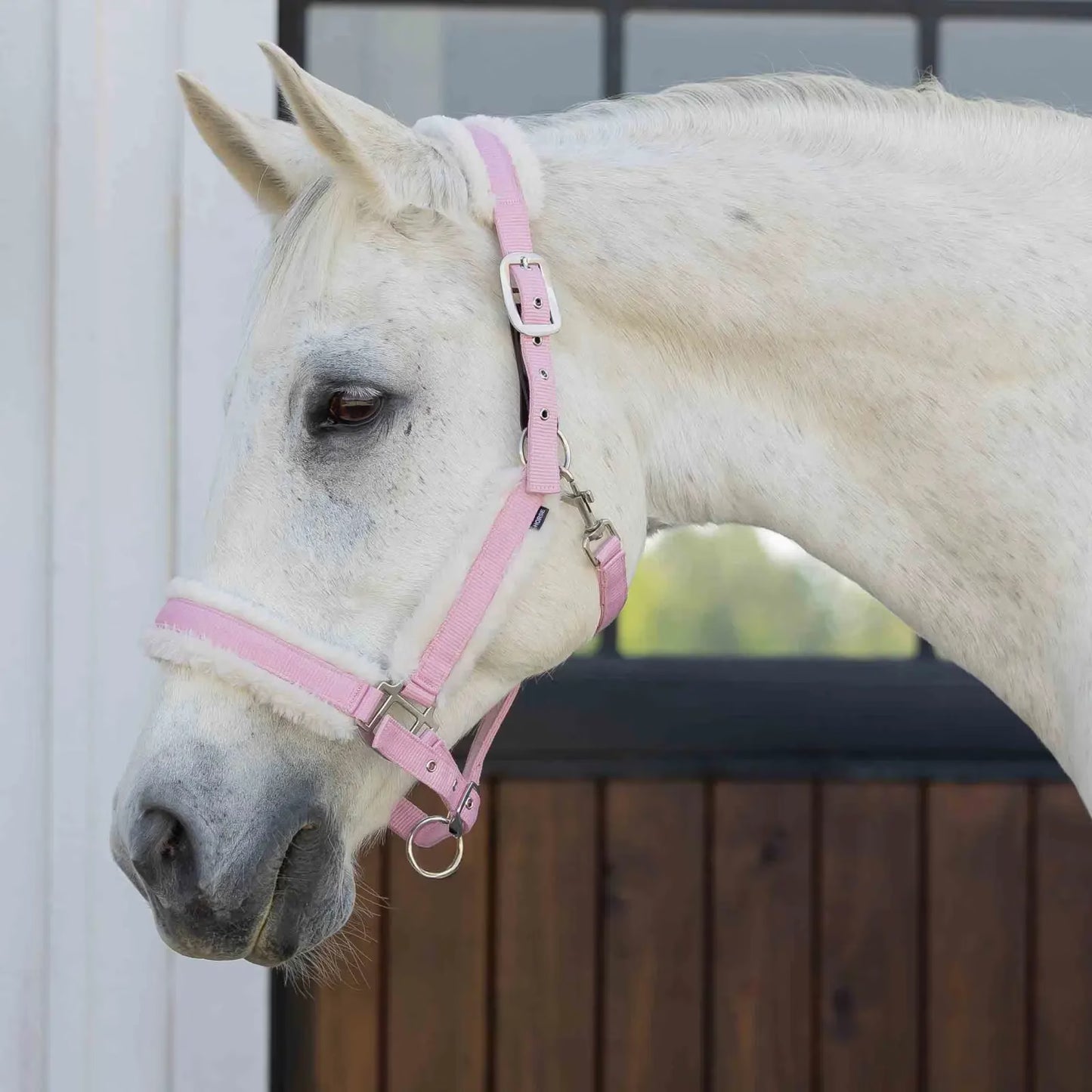 Equinavia Valkyrie Ultra Fleece Breakaway Halter