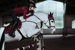 Equestrian Stockholm Jump Saddle Pad Bordeaux - Full