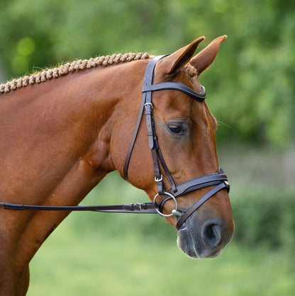 KL Select Black Oak Dogwood Bridle