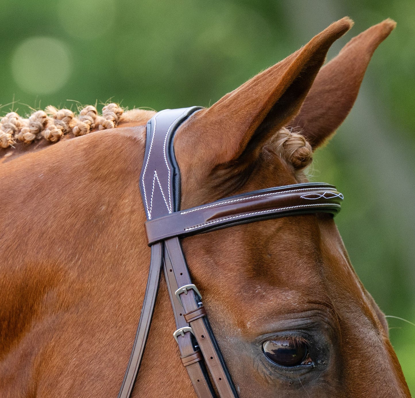 KL Select Lexington Bridle