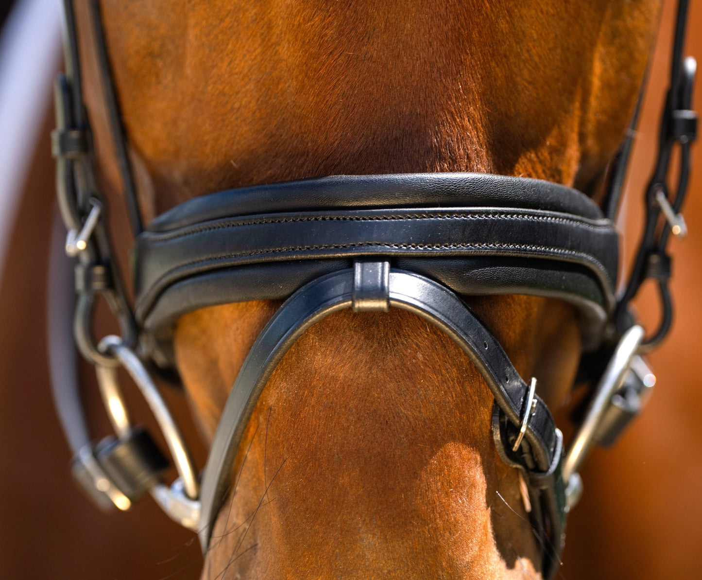 KL Select Black Oak Daphne Bridle