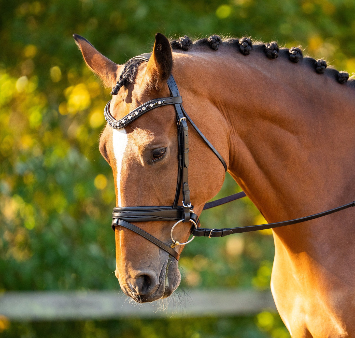 KL Select Black Oak Daphne Bridle
