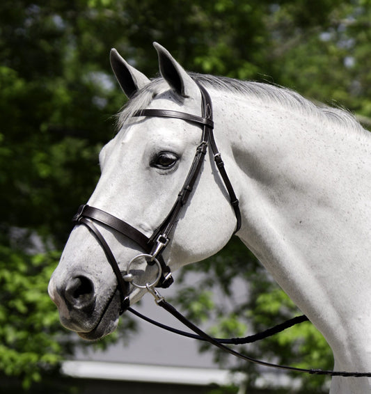 KL Select Black Oak Maple Bridle