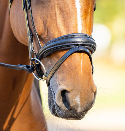 KL Select Red Barn Olympian Bridle