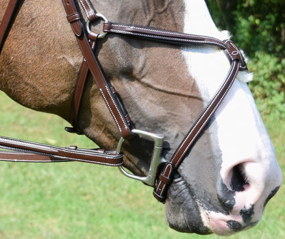KL Select Red Barn Equinox Bridle