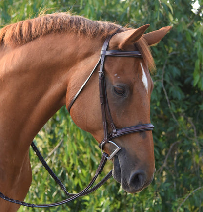 KL Select Red Barn Icon Bridle