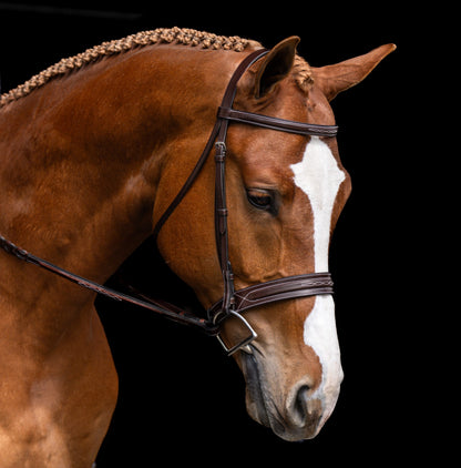 KL Select Red Barn Hudson Bridle