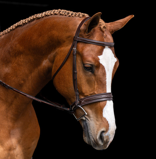 KL Select Red Barn Hudson Bridle