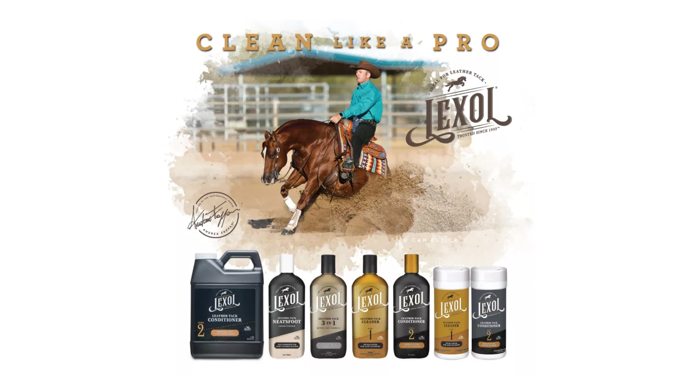 Lexol Quick Wipes Leather Cleaner