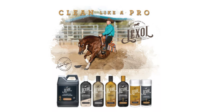 Lexol Quick Wipes Leather Cleaner