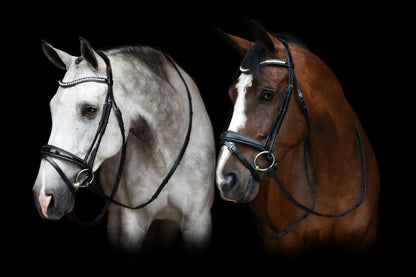 KL Select Red Barn Pace Bridle