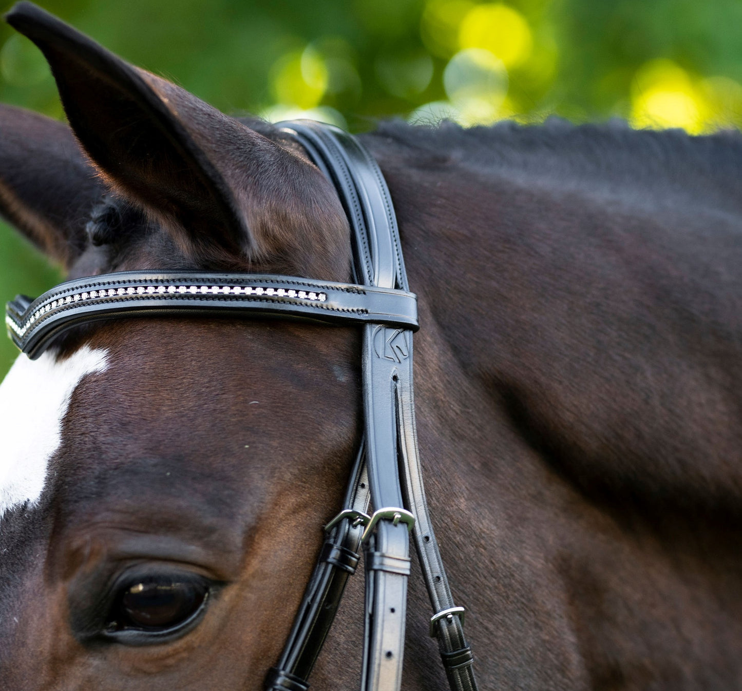 KL Select Pirouette Bridle