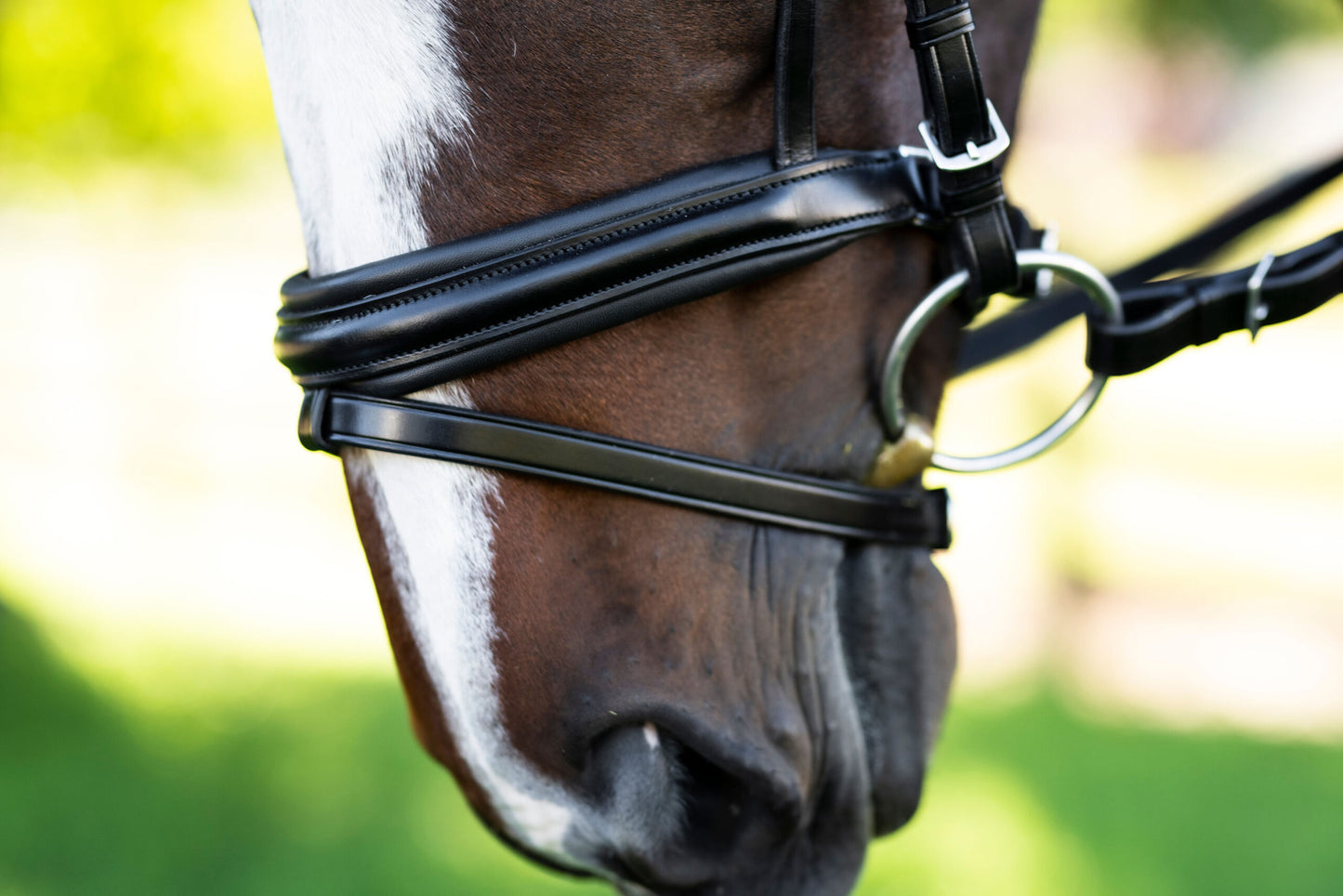 KL Select Pirouette Bridle