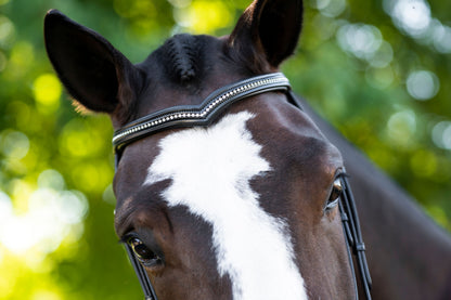 KL Select Pirouette Bridle
